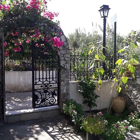 Studios Margarita Petalidi Exterior photo